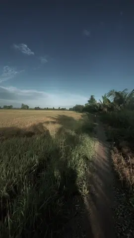 Em ơi anh muốn đi cùng em đi hết đọng đường này🥹#tamtrang #nhachaymoingay #xh #xuhuongtiktok #cảnhchill✨ 