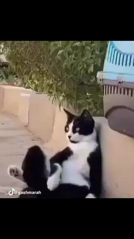 #ضحك #غشمرة #كوميدي #وناسة #مصخرة