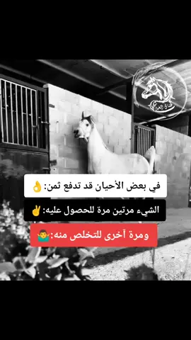 #خيول_عربية_اصيلة❤️🐎  #مجرد________ذووووووق🎶🎵💞  #المصمم_بوهيبه🎬بوهيبه🎵  #اقتباسات_عبارات_خواطر🖤🦋 