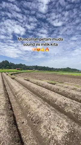 #petaniindonesia🇮🇩🇮🇩🇮🇩🌿🌿 #petanimuda #petanicabai #petanicabai #petaniindonesia🇮🇩🇮🇩🇮🇩🌿🌿 
