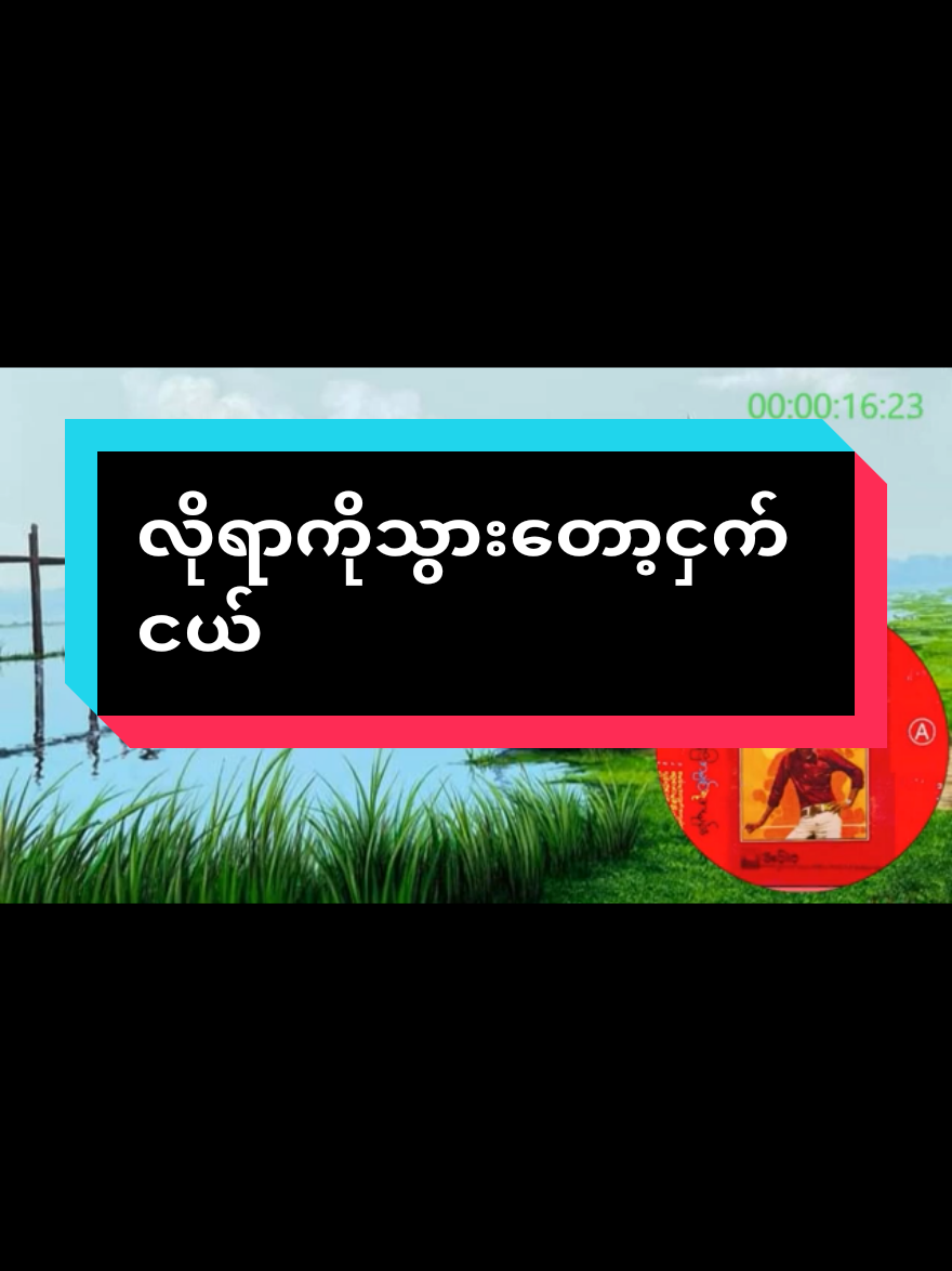 #စိုင်းဆိုင်မောဝ်  #လိုရာကိုသွားတော့ငှက်ငယ် #သီချင်းကောင်းလေးများ🤗  #သီချင်းချစ်သူများအတွတ်☺️🎼🎵🎶  #ပြန်လည်မျှဝေပေးတာပါ🤜🤛🤝 