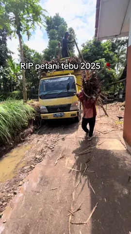 🤕 #petanitebu #petanimuda #fyp #riptebu2025 