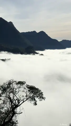 Koj mug ua neej zoo li cag lawm #tusiab 