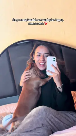 #fyp #parati #foryou #perros #dachshund 