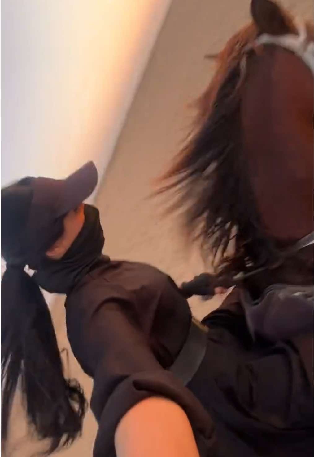 ✈️ #ماشاءالله #خيل_وخياله🐎 #explor 