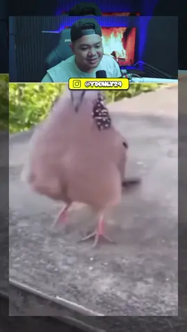 terlalu pokus bernyanyi #yourdudhreaction  #fyp  #xybca  #meme 