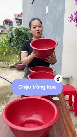 Chậu trồng hoa cây cảnh,rau sạch #Bacsansale #xuhuongtiktok #xuhuong #chautrongcay #chautronghoa 