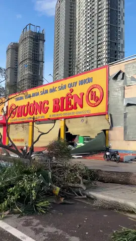 Khung cảnh hoang tàn sau bão tại Quy Nhơn 🥹 #fyp #baoso13 #xuhuong #quynhon #baokalmaegi 