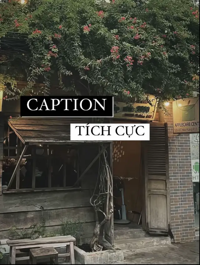 CAPTION TÍCH CỤC 