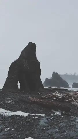 Who else desperately needs a moody drive around the peninsula?? #pnw #pacificnorthwest #washington #olympicnationalpark #olympicpeninsula 