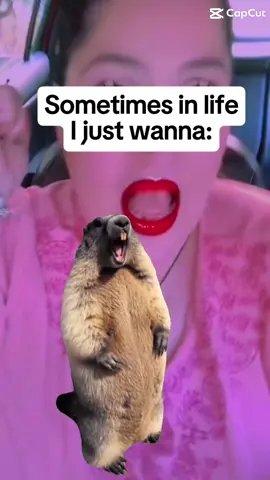 #queensarmy_⚔️360⚔️👑 #heathercuppettfam #dirtysplayhouse💀🥀beautyandtheundead🥀☠️ #😈🐺purge_wolf_army🐺😈 #hauntedsoulz💚🖤☠️💀💚 