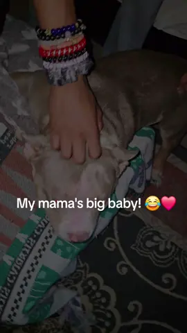 This is last year! He is too spoiled after my mom! 😂❤️❤️ @queenbutterfly168 