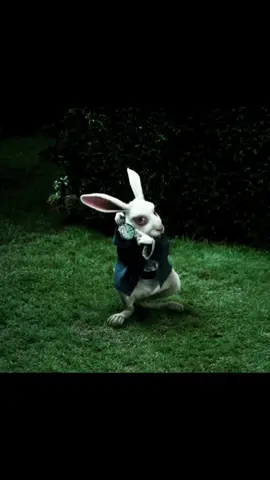 all roads lead to Rome. #xyzbca #relatable #fypシ゚viral #giftok #whiterabbit 