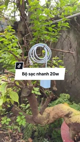 Bộ sạc nhanh 20w dành cho iP 14prm đổ về trước. Hỗ trợ ngắt dòng điện khi sạc đầy, an toàn hơn cho thiết bị của bạn #sacnhanh20w #sacdienthoai #bosacnhanh20w #fyp #xuhuong  @Tạp hoá Chú Khoa  @Tạp hoá Chú Khoa  @Tạp hoá Chú Khoa 