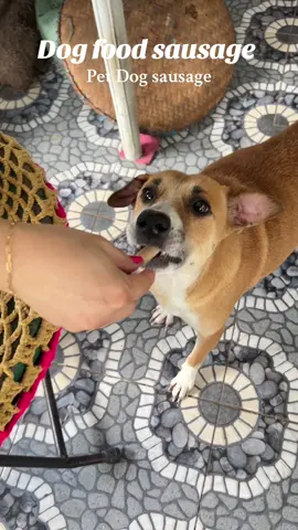 Pet sausage dog sausage #dogsausage #petsausage #sausagefordog #sausageforpets 