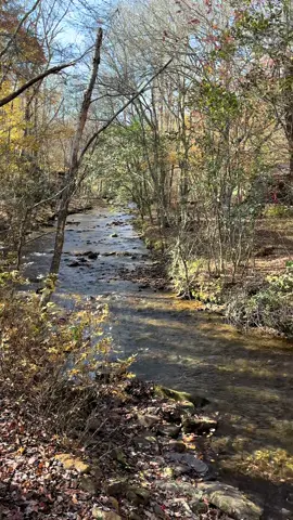 #nature #lovewhereyoulive #blueridge #peaceful #work 