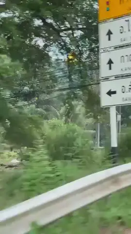 ปรากฏการณ์สุดแปลก! 