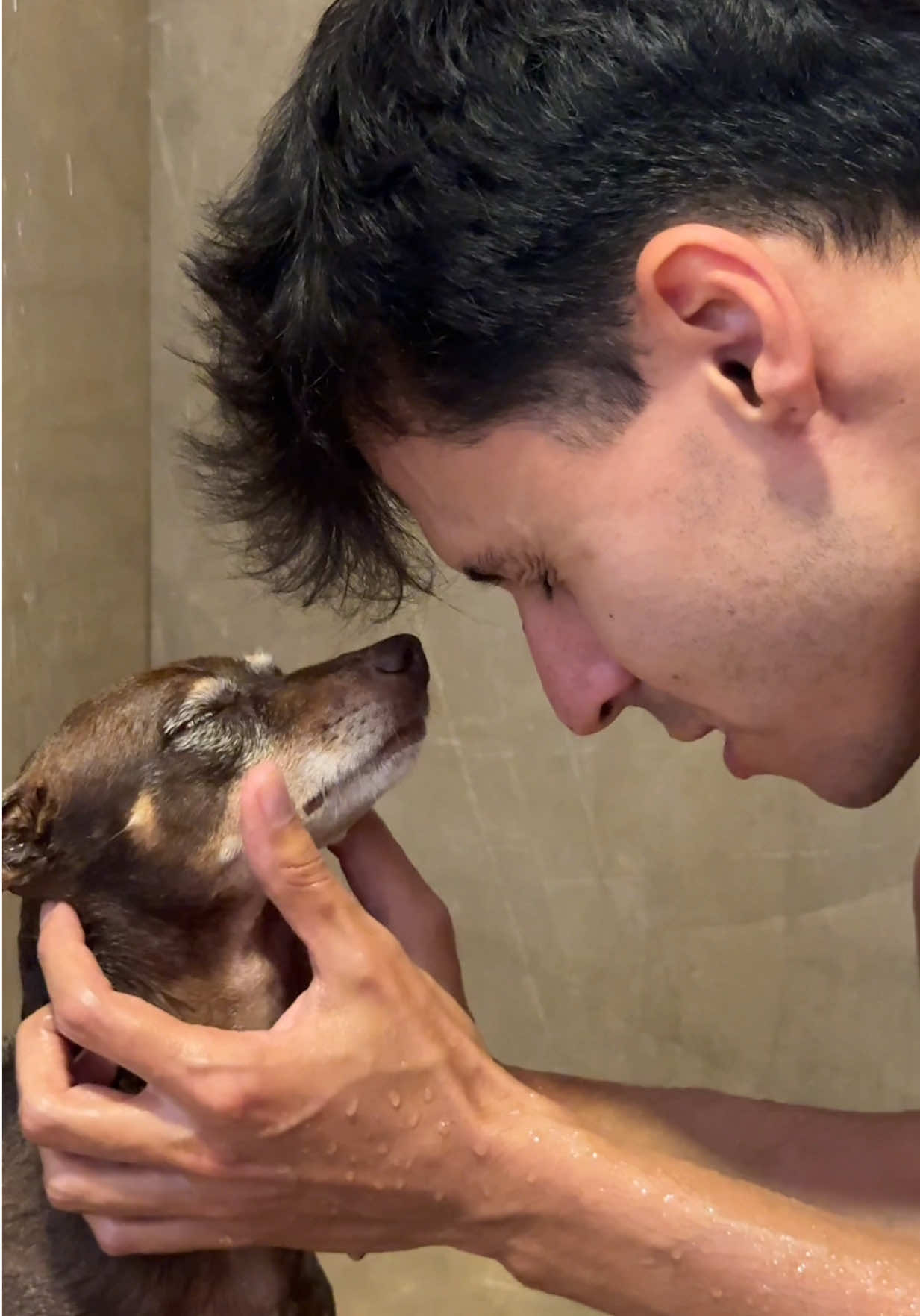 Parte 3 Depois de trazer ele pra casa comprei a ração certa para animal de pequeno porte, visto que tenho uma Pitbull e a ração é diferente, dêmos também o primeiro banho pois ele tinha alguns carrapatos e estava bem sujo (não gravei esse primeiro banho) Dá para perceber que ele já ganhou um pouco de peso e está bem diferente de quando achamos ele, hoje ele tomou o segundo banho e fomos dar uma volta de carro, virou atração no posto de gasolina kkkk Parece que teve uma moça que se manifestou sendo a dona dele, estou em contato com ela e se realmente for a antiga tutora dele, infelizmente vou ter que devolve-lo… 😞