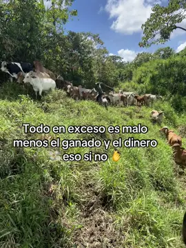 #paratiii #upaupa⚡️💸