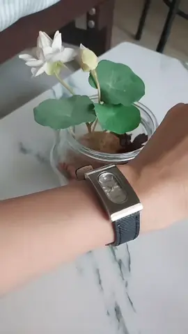 นาฬิกาข้อมือ สวย หรู  #นาฬิกาหรู #นาฬิกาข้อมือผู้หญิง #นาฬิกาข้อมือ #ใช้ดีบอกต่อ #tiktok 