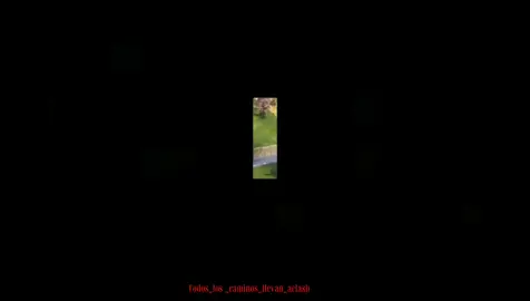 #clashroyale #paratiiiiii #edit #ye #CapCut 