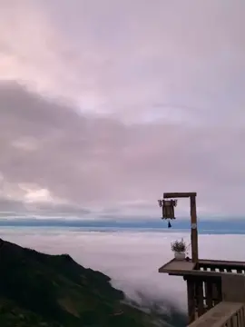 Sáng 7/11 tại Tà Xùa 😍#sanmaytaxua #taxua #xuhuong #trending 