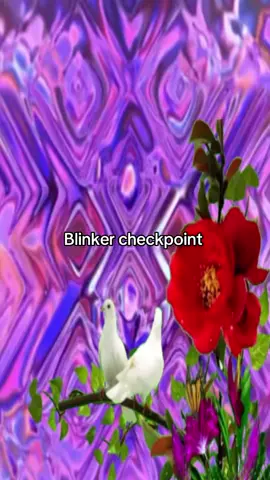 #blinker #doves #visual #yart #fypシ゚viral 