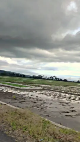 nyore nomor 1 sebelum hujan 😋#sunyo 