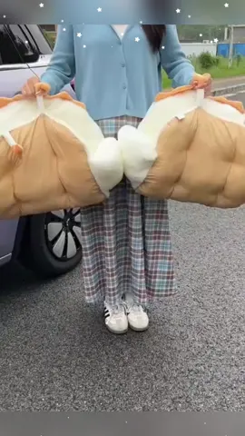 #caraccessories #cargadgets #us #nyc 