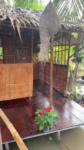 Nghe sao mà tình quá ☺️☺️☺️#mientay #xuhuong #cantho65 