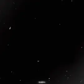 Danilo Gentili, e ratinho 💀... #danilogentili #ratinho #thenoite #pt #foryou 