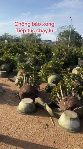 Trả lời @Bởi Vì Đam Mê 