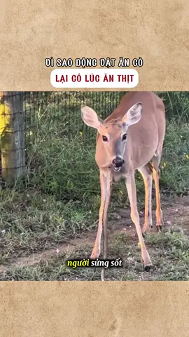 #giaitri #fyp #kienthuc 