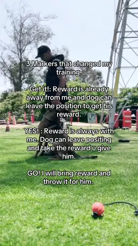 Marker training changed how I worked with my dogs. If you want to learn more. Comment! 🚀🚀 #dogsport