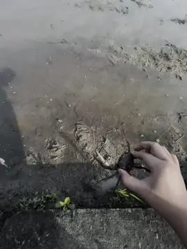 🥰###xhtiktok #xhuongtiktok 