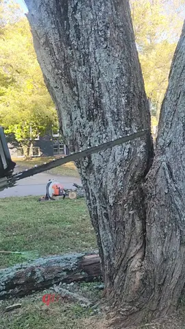 #quieres #ver #como #corto #quedate 