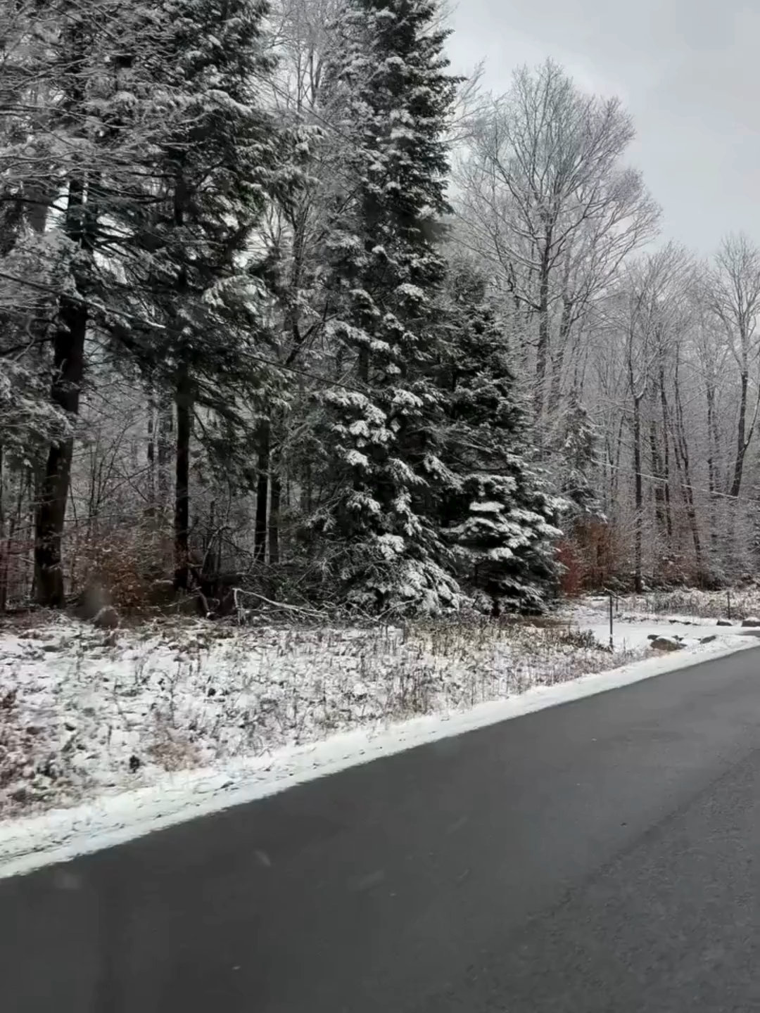 ❄ 🌨 WINTER VIBES: Parts of Upstate New York were sprinkled with minor snowfall on Thursday morning. Locals in the area were able to capture the beauty of the snow in various areas. #newyork #upstatenewyork #snow #fall #FoxWeather