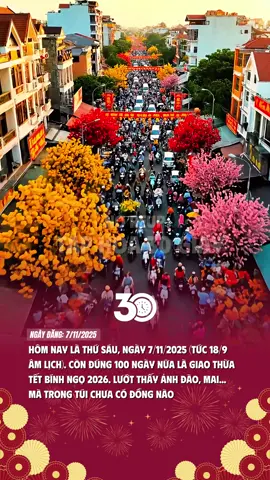 100 ngày nữa nhó 🧧#tetsumvay #dontet2026 #taphoa30giay #tet #tet2026 