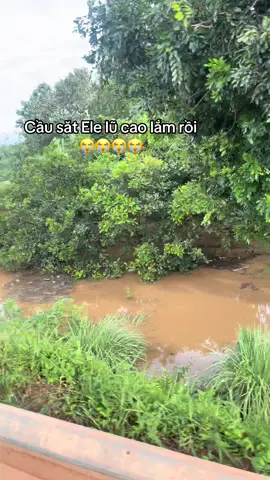 1 đêm trắng của dân Easup 😭😭😭 #xh #47daklak 