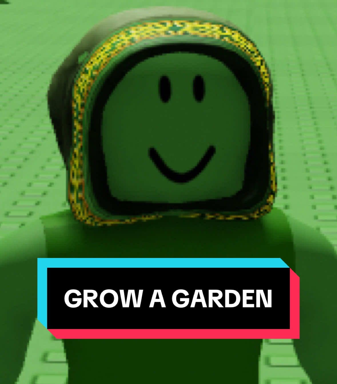 Film Grow a Garden.