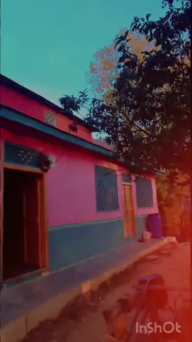 #misshazarahome🥹🥹 ##foryouoooooooooooooooo ##fyppppppppppppppppppppppp 