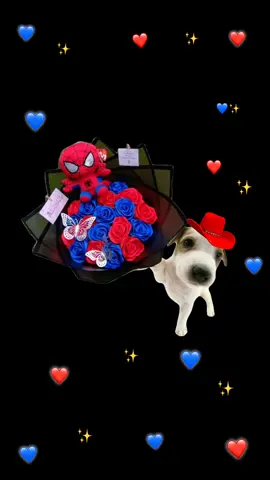 #7denoviembre ramo de spiderman❤️💙✨ #paratii #dedicarvideos♡ #novios #tiktokponmeenparati 