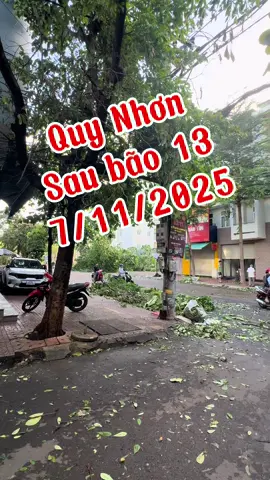 Bão 13 Quy Nhơn Gia Lai mới nhất - sau bão 7/11/2025 #chuotbridal #duyanhnguyen #quynhon #gialai #bao13 
