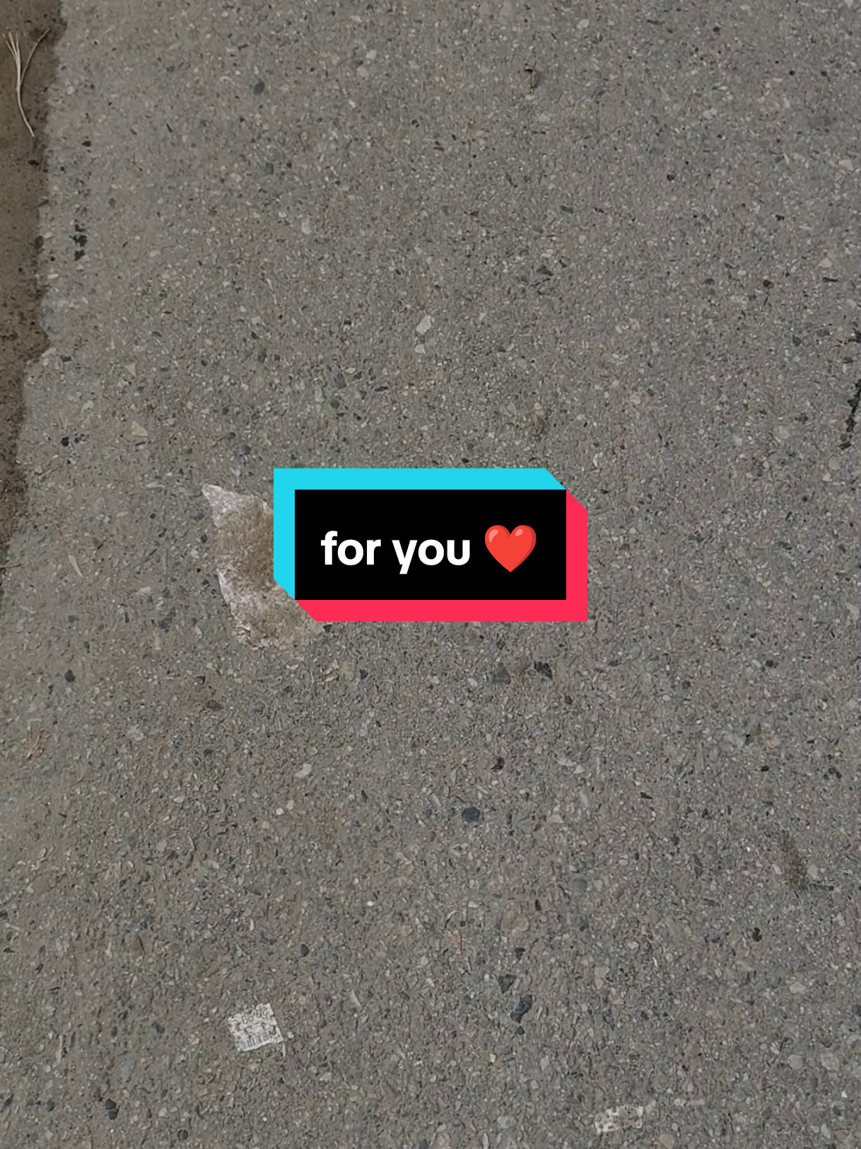 সকালে কুয়াশা পড়েছে আমাদের এখানে 😱😶‍🌫️