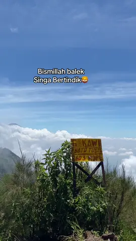 Logo Singa Bertindik. #arema #aremania #fyp #singoedan 