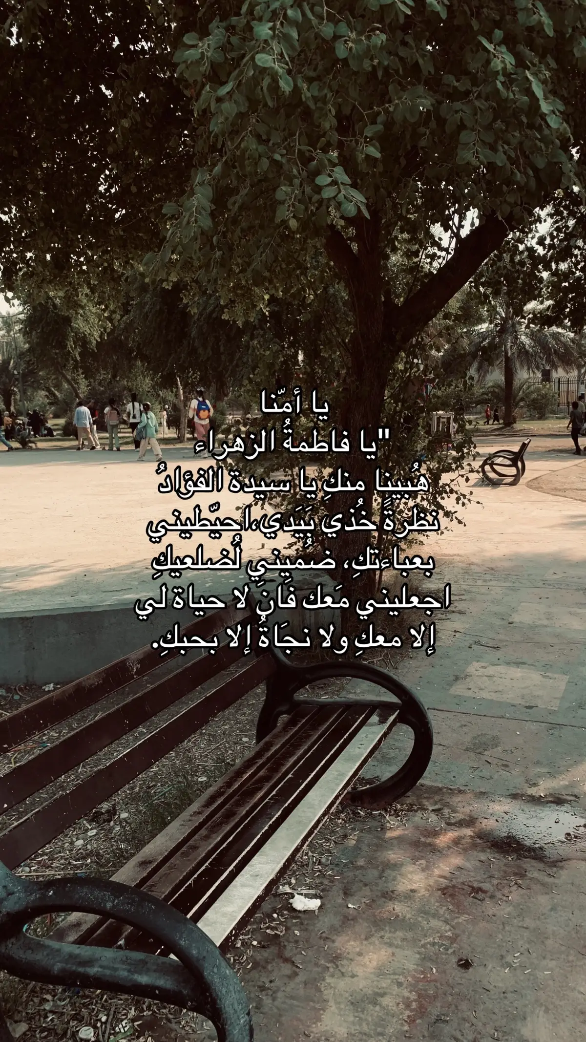 #استشهاد_فاطمه_الزهراء #viral #viralvideo #fyp #مشاهدات 