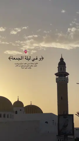 #LIVEIncentiveProgram #fyp #algeria #foryou #viral 