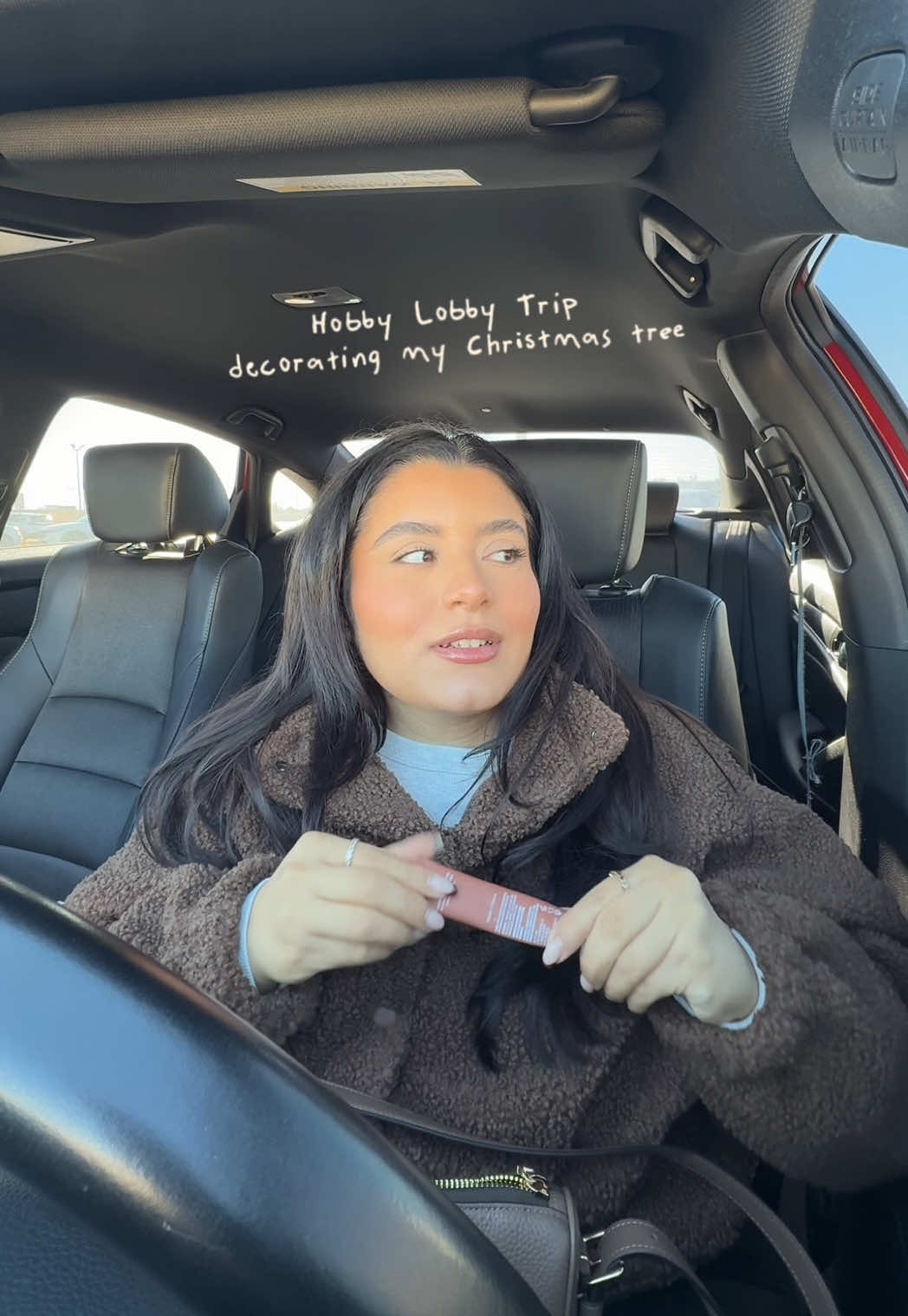 BEWARE ITS A PRETTY LONG VLOG 🤪 @Hobby Lobby  #christmasdecor #christmastreedecorating #hobbylobbyfinds 