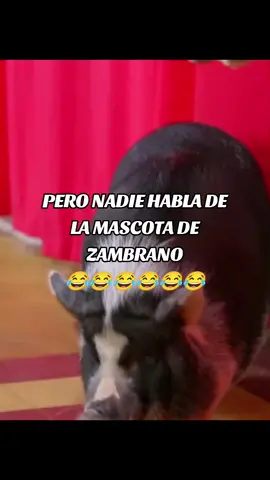 #desafio20años #desafiodelsigloxxi #caracoltv #venezuela #desafiodecapitanes 