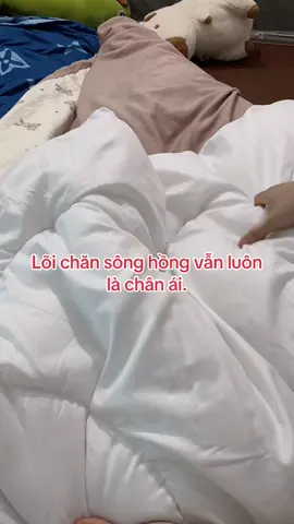 Lõi chăn sông hồng#xuhuongtiktok #xuhuong #chăn #chăngagối #chansonghong 